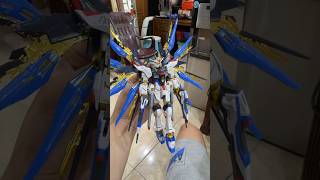 RG STRIKE FREEDOM Top coating this kit with Mr Hobby glossy [upl. by Sekofski]