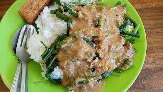 Nasi Pecel A Flavorful Indonesian Breakfast Delight [upl. by Iror]