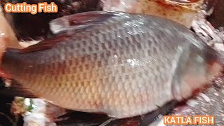 Fish Cutting Skills  Giant Catla Fish Cutting Show  Fish Cutting Expert [upl. by Enitsirhk]