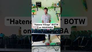 Hateno Village music drums nintendo shorts zelda fun happy fyp cover [upl. by Teferi540]