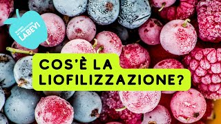 La liofilizzazione dalle scoperte spaziali alla cucina di tutti i giorni [upl. by Dasie]