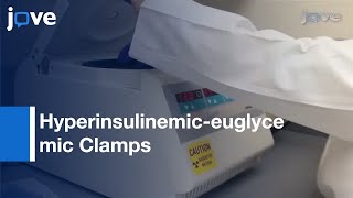 Hyperinsulinemiceuglycemic Clamps In Conscious Unrestrained Mice l Protocol Preview [upl. by Lenroc928]