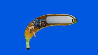 How a banana works [upl. by Sibley]