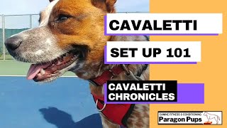 Cavaletti Set Up [upl. by Gilson]