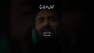 Jan e sakina noha nadeemsarwar alijee shorts ytshortsvideo youtubeshorts [upl. by Retxed]