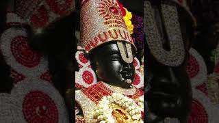 Venkateswara Swamy Suprabhatam 🙏 govinda songs venkateshwara swamy songs govinda suprabhatam [upl. by Kehr]