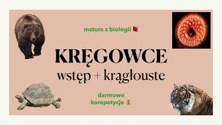 28  Kręgowce  wstęp  krągłouste  budowa charakterystyka 🐈🦚🐒 matura z biologii 📕 liceum [upl. by Burgess]