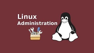 How to Add a Program to Your Path Environment Variable in Linux [upl. by Lunt]