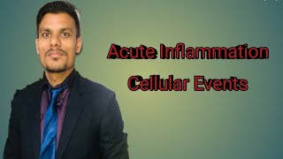 Pathogenesis of Acute Inflammation Cellular Events by DrShyam [upl. by Bjork]