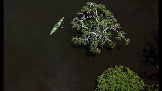 Trailer documental Cuyabeno Paraísos Escondidos del Ecuador [upl. by Bakemeier149]