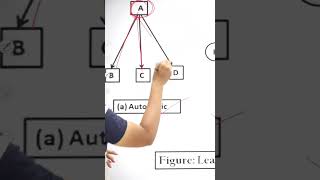 leadership and its styles  Directing  Class 12 BST shorts cbseboard2023 cbse cbseclass12 [upl. by Ytisahc]