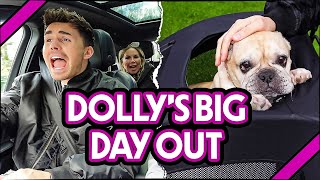 JOES CHAOTIC DRIVING amp DOLLYS BIG DAY OUT  BAGGS FAMILY VLOG [upl. by Flieger]