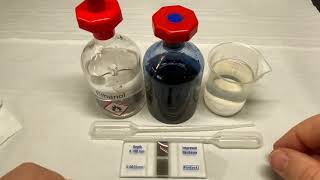 Haemocytometer and Serial Dilution [upl. by Eiramac]