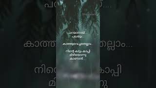 album song lyricsparayathe parayunna kadum kappi mizhiyullasongslyrics trendingstatus virel [upl. by Adnolahs]