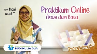 Uji Asam Basa dengan Kertas Lakmus Merah dan Biru  Kok bisa ya  SMP Budi Mulia Dua Yogyakarta [upl. by Arimihc696]