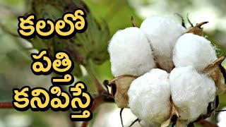 Kalalo Cotton Kanipisthe  Kalalu Vati Phalithalu  Dreams In Telugu  Laxmi Devotional [upl. by Llerdnod]