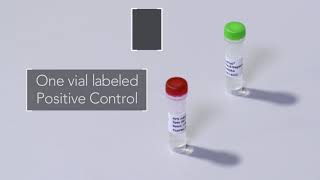 Quidel AdenoPlus External Controls Training Video [upl. by Chappelka]