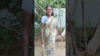 New trending amma magan comedy video viralshorts subscribe pannaga [upl. by Dyanna]