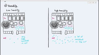 75 Factors Affecting Transpiration Rate Cambridge AS A Level Biology 9700 [upl. by Michaela]