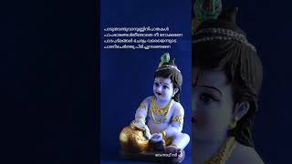 എൻ്റെ കണ്ണാ [upl. by Chicoine]