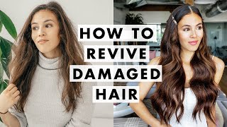 How to Fix Damaged Hair [upl. by Craggie]