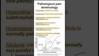 Pathological pain terminology [upl. by Montgomery]