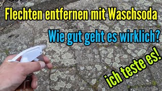 Flechten entfernen auf Pflastersteinen mit Waschsoda Wie gut kann man damit Flechten wegbekommen [upl. by Odnamla]