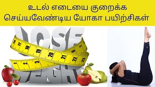 Yoga For Full Body Weight Loss  20 Mins yoga For obesity in Tamil By DrLakshmi Andiappan [upl. by Iiette]