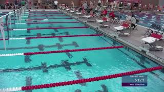 Mens 1500 Free A Final  2024 SUMMER SPEEDO SECTIONALS Central Zone East Sectional  Columbus OH [upl. by Ennayelsel]