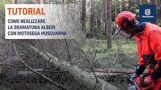 Lavorare con la motosega  Tutorial Sramatura Alberi [upl. by Covell]