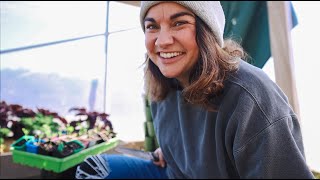 Lets Talk CONTAINER GARDENING How to have the best success  VLOG [upl. by Nap439]