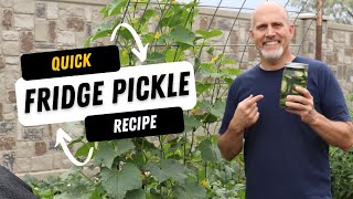 Quick 6 Ingredient Refrigerator Pickle Recipe [upl. by Lalo]