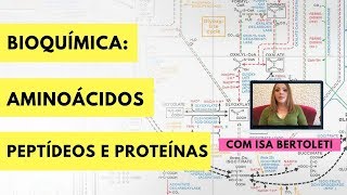 BIOQUÍMICA AMINOÁCIDOS LIGAÇÃO PEPTÍDICA E PROTEÍNAS • BERTOBIO [upl. by Rhea]