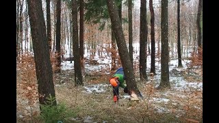 Extrem gefährlichen Hänger mit 16 t Seilzug eliminieren [upl. by Aronid]