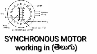 WHY SYNCHRONOUS MOTOR NOT SELF STARTINGWORKING OF SYNCHRONOUS MOTOR [upl. by Yrro]