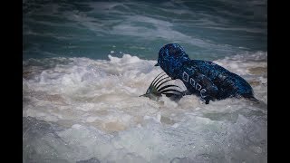 Surffishing for Rooster fish Puerto vallarta Mex [upl. by Aramo]