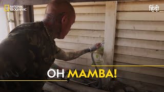 Oh Mamba  Snakes in the City  हिन्दी  Full Episode  S2  E1  Nat Geo Wild [upl. by Sax]