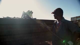 Hand Harvesting Our Aloe Forever Living Products [upl. by Yadnus772]