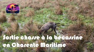 Sortie chasse à la bécassine en Charente Maritime [upl. by Artsa]