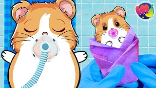 🐶 HAMSTER EMBARAZADA TIENE un BEBÉ en el HOSPITAL 🤰 [upl. by Dillon]