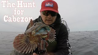 quotThe Hunt for Cabezonquot wunderwater footage [upl. by Nyladnohr539]