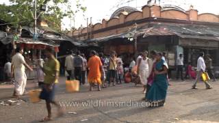 Kalighat temple Kolkata [upl. by Anaet]