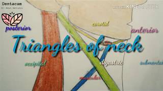 easy way to remember Triangles of neck [upl. by Verine]