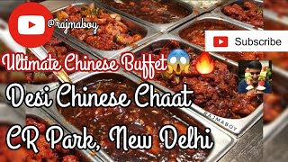 Desi Chinese Chaat Platter  Chinese Street Food  CR Park  South Delhi Food  Rajmaboy [upl. by Johst]