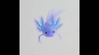 Blue axolotl🩵original song￼ [upl. by Cassella454]