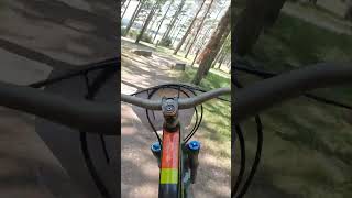 shorts 306  VTT MTB DH ENDURO RIDING [upl. by Johnsten]