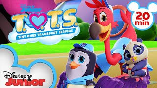 Best of Season 3 💖 20 Minute Compilation  TOTS  disneyjr [upl. by Gillian]