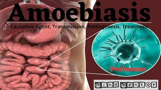 Amoebiasis  Dysentery  Causative Agent Transmission Pathogenesis Diagnosis and Treatment [upl. by Jereld851]