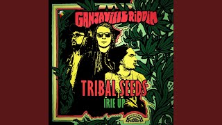 Irie up Ganjaville Riddim [upl. by Yrrab526]