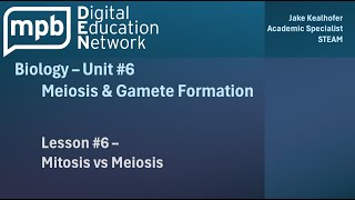 MPB Biology Unit 6 Lesson 6 Mitosis vs Meiosis [upl. by Gomar]